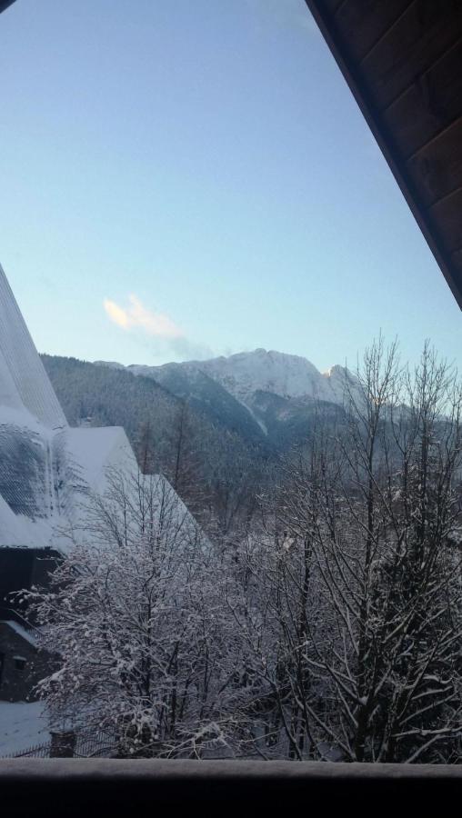 Apartment Mountain Chalubinskiego Zakopane