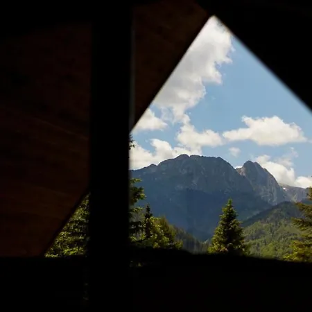 Mountain Apartments Chalubinskiego Residence Zakopane Exterior photo
