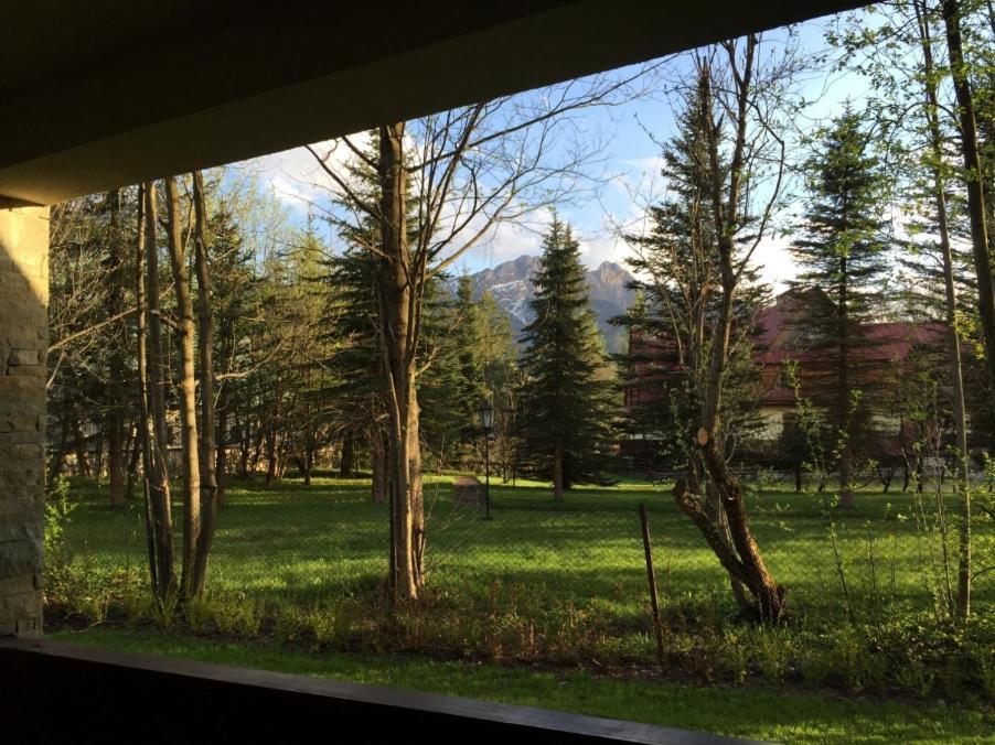 Mountain Chalubinskiego Apartmán